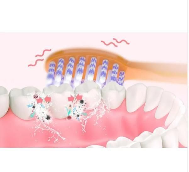 Electric Toothbrush, Teeth & Gums Care Toothbrush